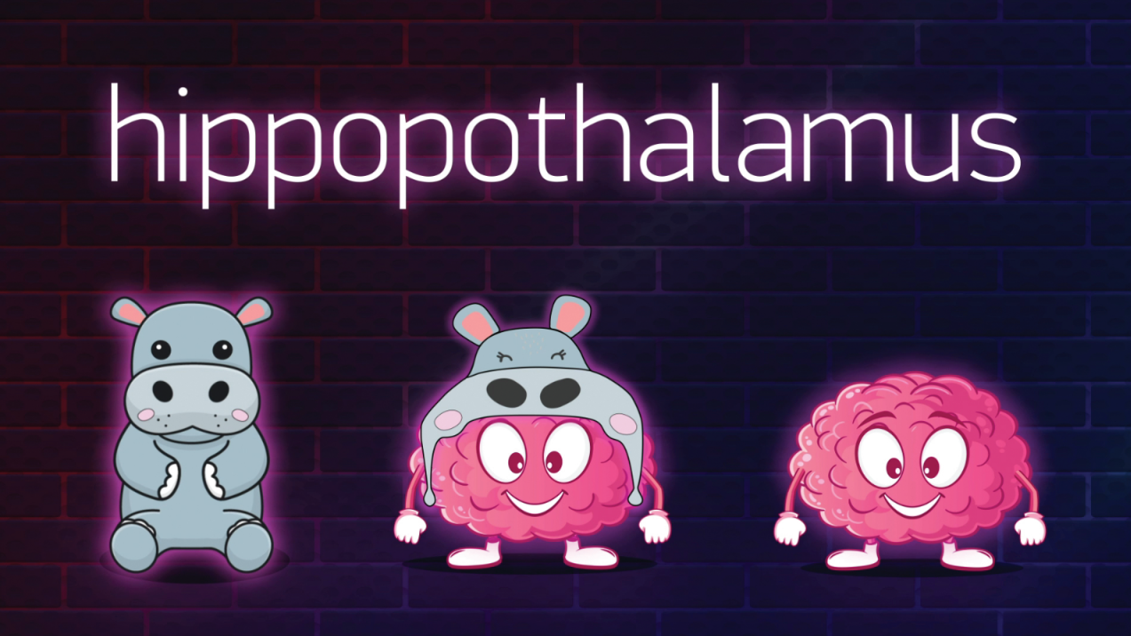 Hippopotalamus